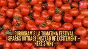 La Tomatina Festival in Gurugram Sparks Safety and Food Wastage Debate