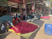 Ludhiana Embraces Eco-Friendly Flower Holi, But Waste Management Remains a Challenge