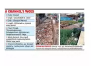 Madurai's Pudur Channel Choked by Waste, Health Hazards Loom Despite Cleanup Efforts