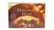 Magnum Ice Cream Acquires Majority Stake in Kwality Wall's in Strategic Move