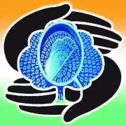 Maharashtra Approves Rs 387 Crore Disaster Data Recovery Centre in Nagpur