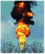 Major Fire in Khandwa Tribal Village Destroys Six Houses, Kills 20 Goats