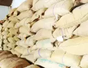 Massive PDS Rice Diversion Uncovered in Andhra Pradesh, 15 Tonnes Seized