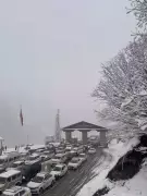 Massive Rescue Operation in Himachal: Over 1,000 Tourists Saved from Snowstorm at Atal Tunnel