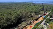Mumbai's Versova-Bhayander Coastal Road: Balancing Ecology and Transport Benefits