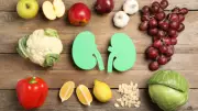 Nephrologist Reveals Everyday Foods and Habits That Harm Kidney Health