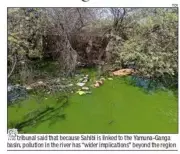NGT Expands Sahibi River Pollution Case, Brings in National Ganga Mission