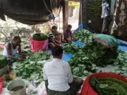 Odisha Betel Leaf Farmers Hit Hard as US-Iran War Halts Exports to Gulf Markets
