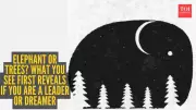 Optical Illusion Personality Test: Elephant or Trees First Reveals Your True Self