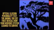 Optical Illusion Personality Test: What You See First Reveals Your Survival Traits