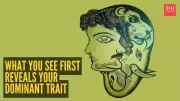 Optical Illusion Personality Test: What You See First Reveals Your True Nature
