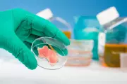 Organoids: Lab-Grown Human Tissues Revolutionize Biomedical Research