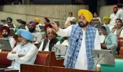 Over 50% of Snatching, Theft, Burglary Cases Unsolved in Mohali: CM Mann