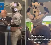 Passenger's Feline Hat Hack: Sneaking Cat onto Plane Sparks Travel Debate