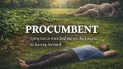 Procumbent: The Meaning and Usage of This Botanical and Descriptive Term