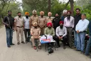 Punjab Police Busts Major Drug Smuggling Module in Amritsar, Seizes 7 kg Heroin