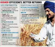 Punjab's Fertiliser Efficiency Yields 16.24 kg Foodgrain per kg, Beats National Average