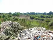 Radha Soami Satsang Beas Faces Penalties for Environmental Violations in Himachal Pradesh