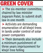 Rajasthan Forms Committee to Draft Special Law for State Tree Khejri Protection
