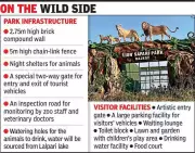 Rajkot Lion Safari Park Nears Completion, Set to Open by May-June 2024