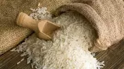 Rice Exporters Seek Urgent Government Relief Amid Iran Crisis Shipping Disruptions