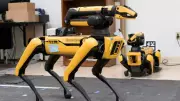 Robots Learn to Find Objects in Clutter by Mimicking Dogs' Understanding of Human Pointing