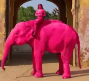 Russian Artist Faces Severe Backlash for Painting Elephant Pink in Rajasthan Photo Shoot