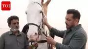 Salman Khan's Personal White Horse Stars in 'Main Hoon' Song from 'Battle of Galwan'