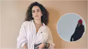 Sanya Malhotra Grooves to DDLJ's 'Zara Sa Jhoom Lu Main' in Snowy Instagram Tribute