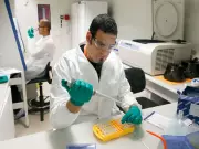 Scientists Develop Computational Method to Accelerate Search for Sunlight-to-Fuel Materials