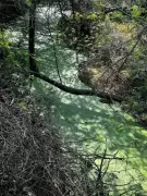 Sewage Crisis and Encroachment Threaten JNU's Forest Campus in Delhi