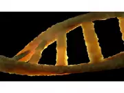 Six Infants with Spinal Cord Injuries Successfully Treated via Stem Cell Therapy