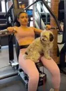 Soha Ali Khan's Gym Buddy Oreo Prefers AC Over Exercise, Actress Shares Fun Post