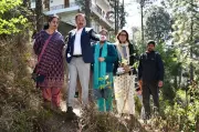 Solan Municipal Corporation Mandates 5 Saplings for Every Tree Felled