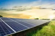 Solar Panel Costs May Rise Due to Metal Price Volatility and Supply Issues