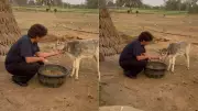 Sunil Grover's Highway Calf Feeding & Simple Life Moments Go Viral