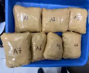 Surat Airport Bust: Customs Seizes Rs 1.97 Crore Hydroponic Cannabis from Bangkok Flight