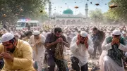 Swarm of Bees Disrupts Eid Prayers in Karnataka, Leaving 25 Injured in Davangere