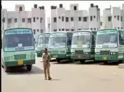 Tamil Nadu Deploys 310+ Special Buses for Weekend Passenger Surge