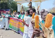Tamil Nadu Farmers Demand MSP for Maize, Protest at Trichy Collector Office