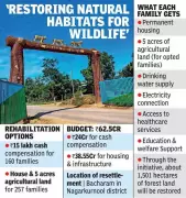 Telangana Congress Government Launches Tribal Rehabilitation in Amrabad Tiger Reserve
