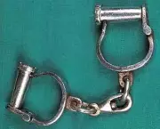 Thane Police Arrests Seventh Accused in Illegal Human Egg Trafficking Racket