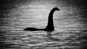 The Loch Ness Monster: A Scientific and Cultural Phenomenon Explored