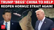 Trump Urges China, NATO, Japan to Secure Strait of Hormuz Amid Iran Tensions