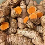 Turmeric Processing Emerges as Lucrative Venture for Punjab Farmers, Say PAU Experts