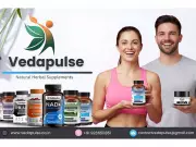 Vedapulse Launches Premium Shilajit Resin & Magnesium Capsules for Wellness