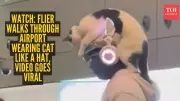 Viral Airport Video Shows Traveller With Cat on Head, Bypassing Stress