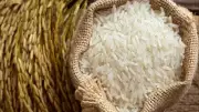 West Asia Conflict Cripples India's Basmati Rice Exports, Threatens Billions in Trade