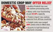 West Asia Conflict Threatens Andhra Pradesh's Cashew Industry with Import Crisis