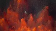 White-Tailed Tropicbird Soars Over Hawaiian Lava Fountain in Stunning Video